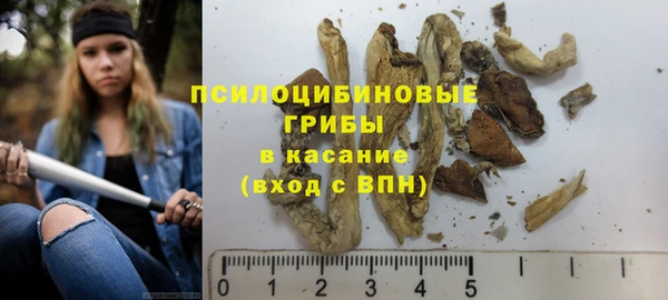 индика Каменск-Шахтинский