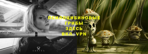 индика Каменск-Шахтинский