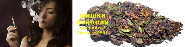 индика Каменск-Шахтинский