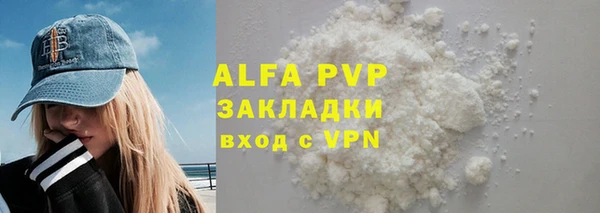 индика Каменск-Шахтинский