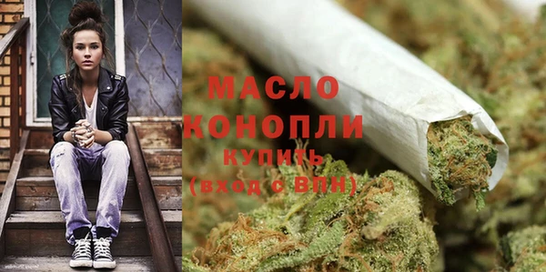 индика Каменск-Шахтинский