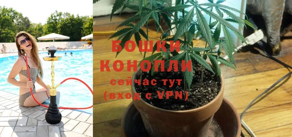 индика Каменск-Шахтинский