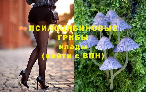 индика Каменск-Шахтинский