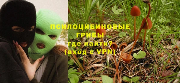 бошки Каменногорск