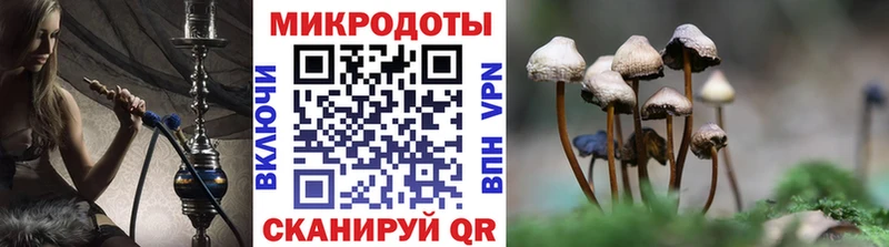 Галлюциногенные грибы прущие грибы  Купить где  Велиж 